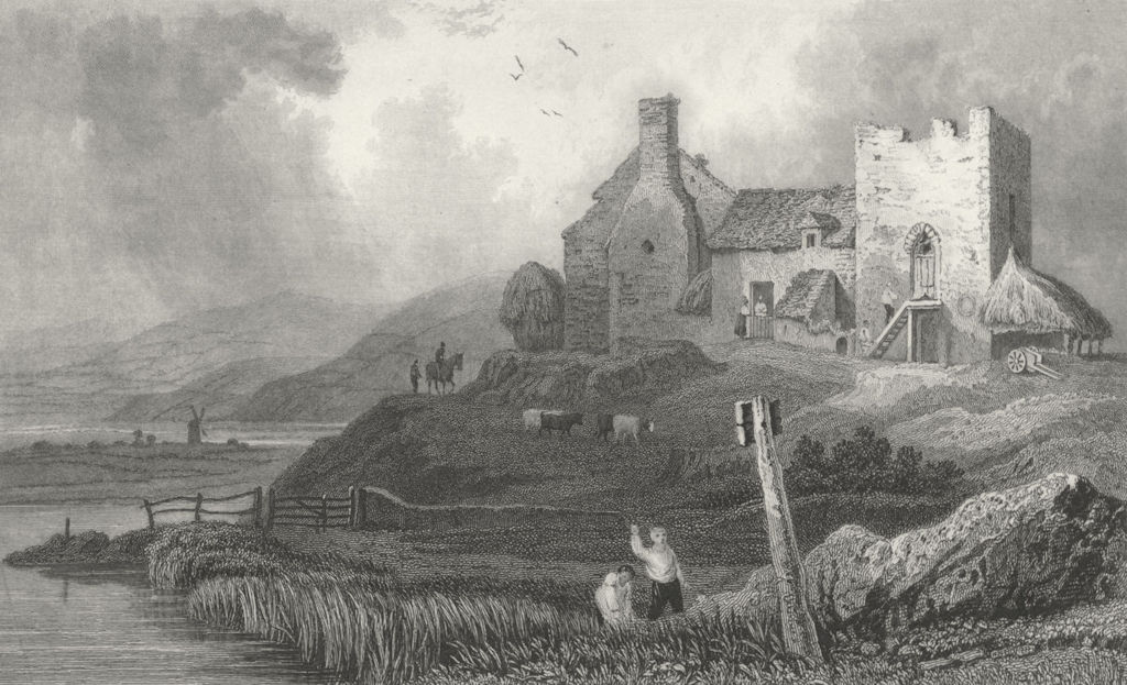 PLAS CRUG. Aberystwyth, Cardiganshire. Cardigan.  c1831 old antique print