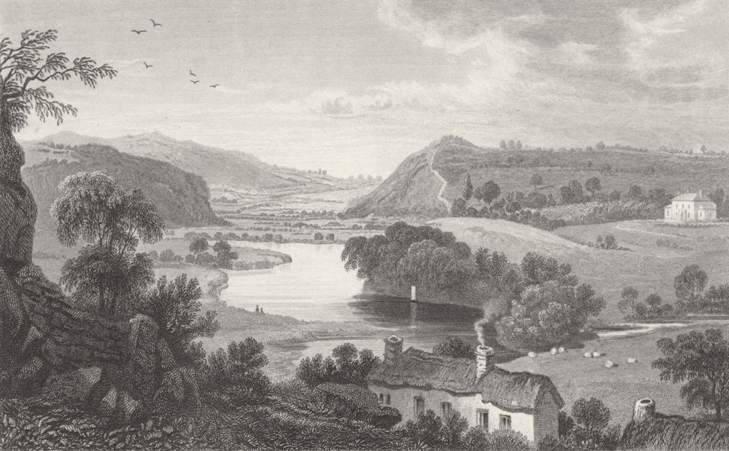 Associate Product CARDIGANSHIRE. Vale of Teify, Newcastle. I River c1831 old antique print