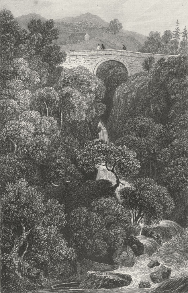 DENBIGHSHIRE. Pont Glyn, Cerig Y Druidian. waterfall c1831 old antique print