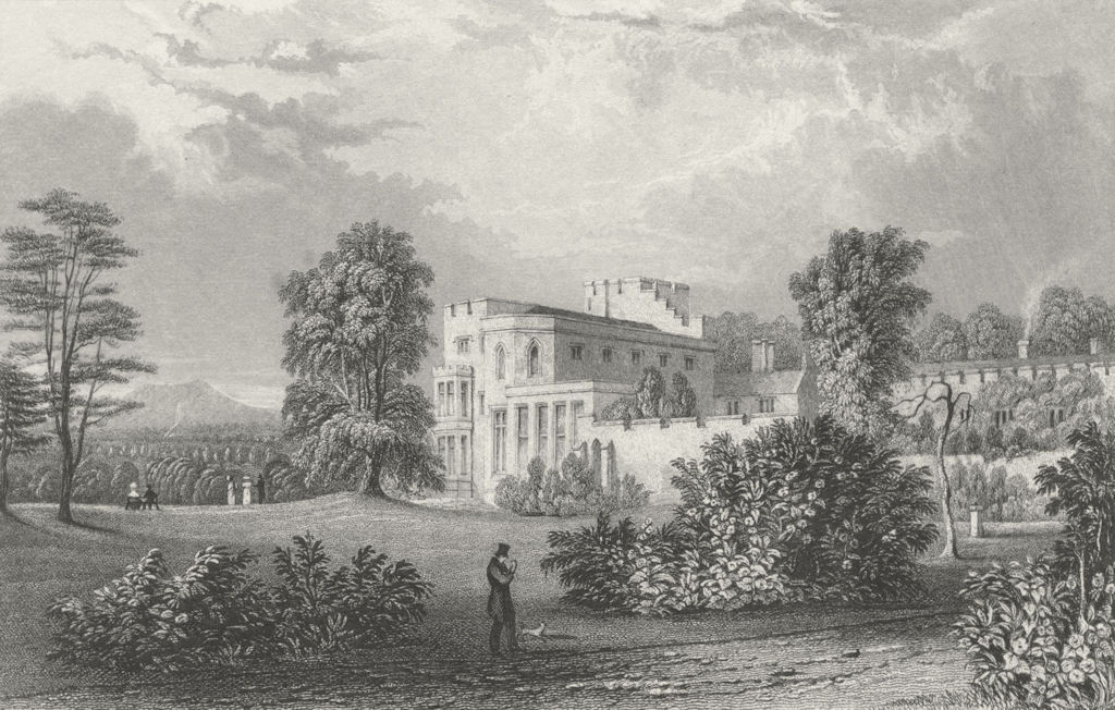 WESTMORLAND. Brougham Hall. Allom. Lone Figure Dog 1832 old antique print