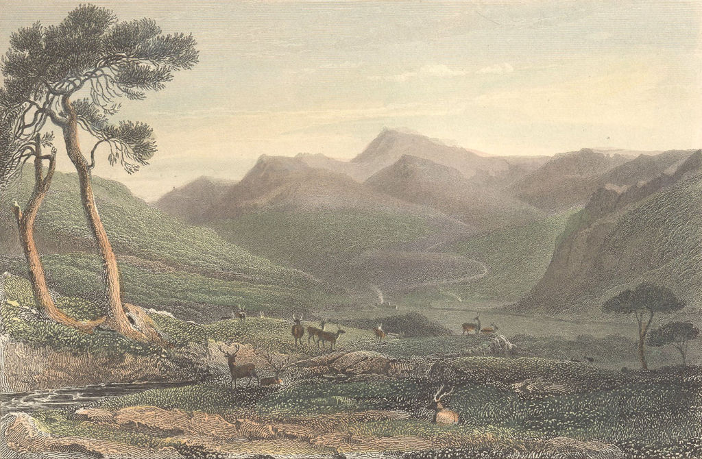 SCOTLAND. Lachin-y-Gair. Wales Deer grazing Finden 1833 old antique print