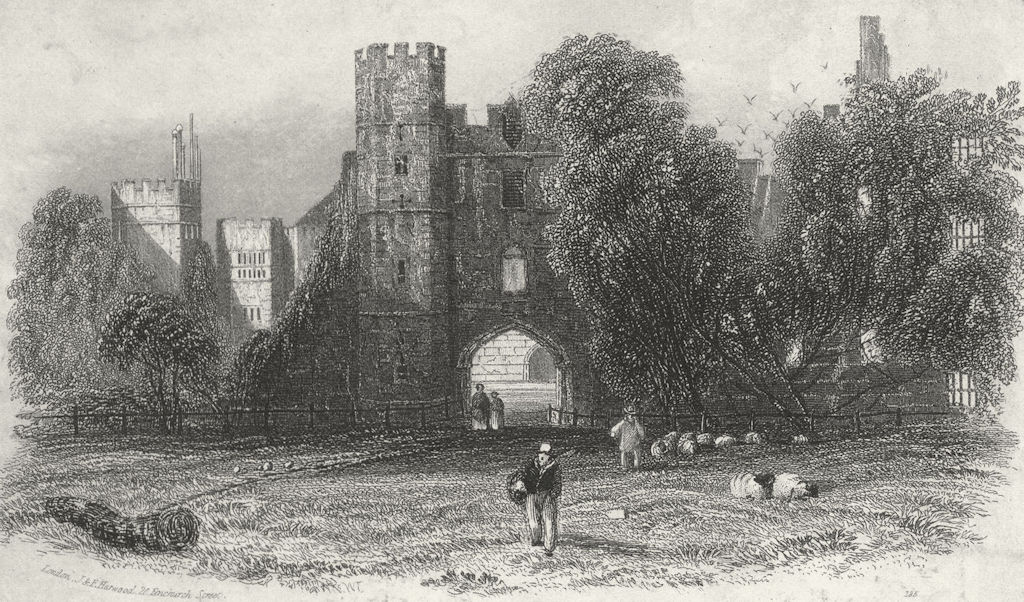 Associate Product SUSSEX. Cowdray Ruins c1855 old antique vintage print picture