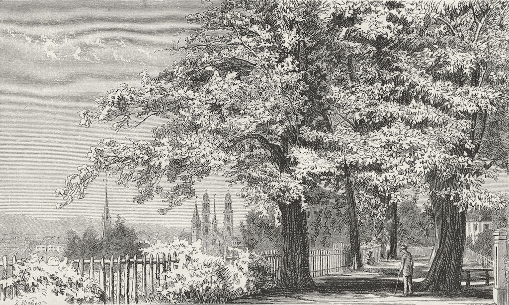 ZURICH. Hohen Promenade. Weber 1879 old antique vintage print picture