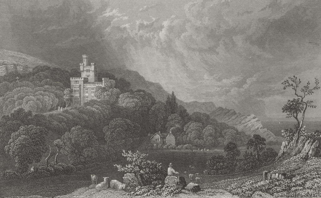 ISLE OF WIGHT. Steephill, John Hamborough c1840 old antique print picture