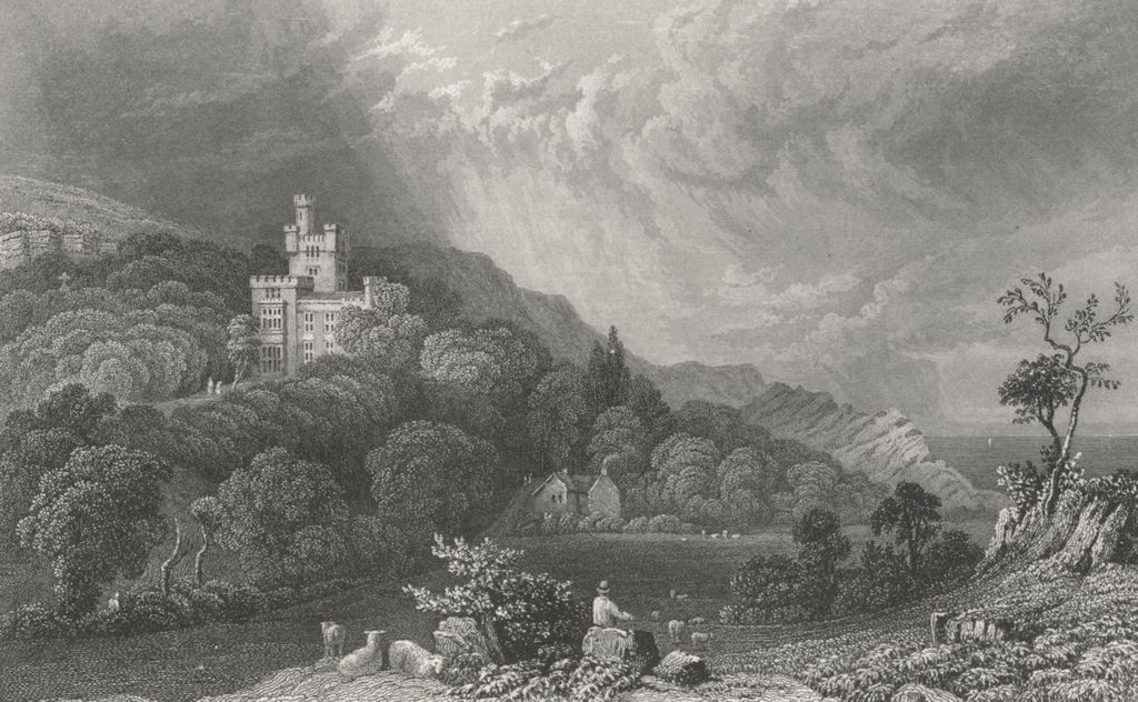 ISLE OF WIGHT. Steephill, John Hamborough c1840 old antique print picture
