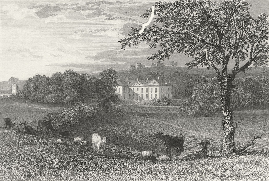 LEICS. Lowesby Hall, Leicestershire. Jones 1829 old antique print picture