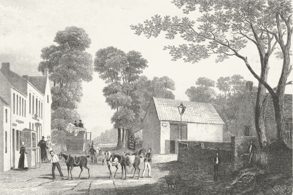 Associate Product LINCS. Spittal. Saunders Several Horses Busy 1836 old antique print picture