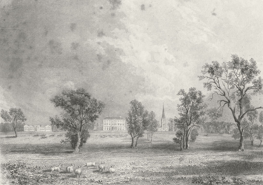 LINCS. Leadenham. Saunders Sheep grazing Hunt 1836 old antique print picture