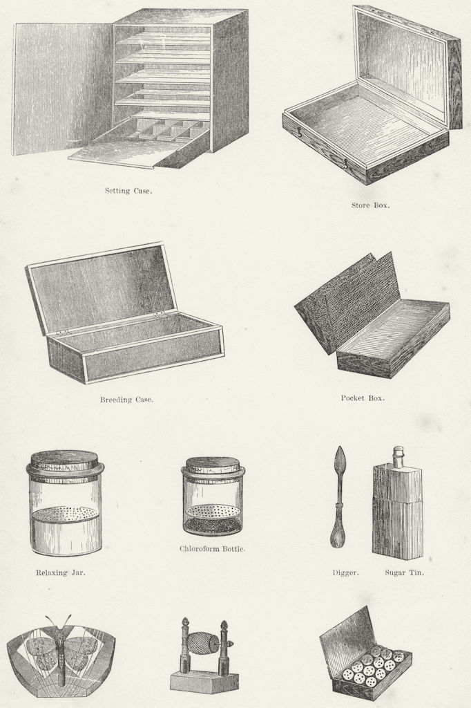 MARKETS. Cases, Boxes, Tins, Jars, Bottles, Spool c1880 old antique print