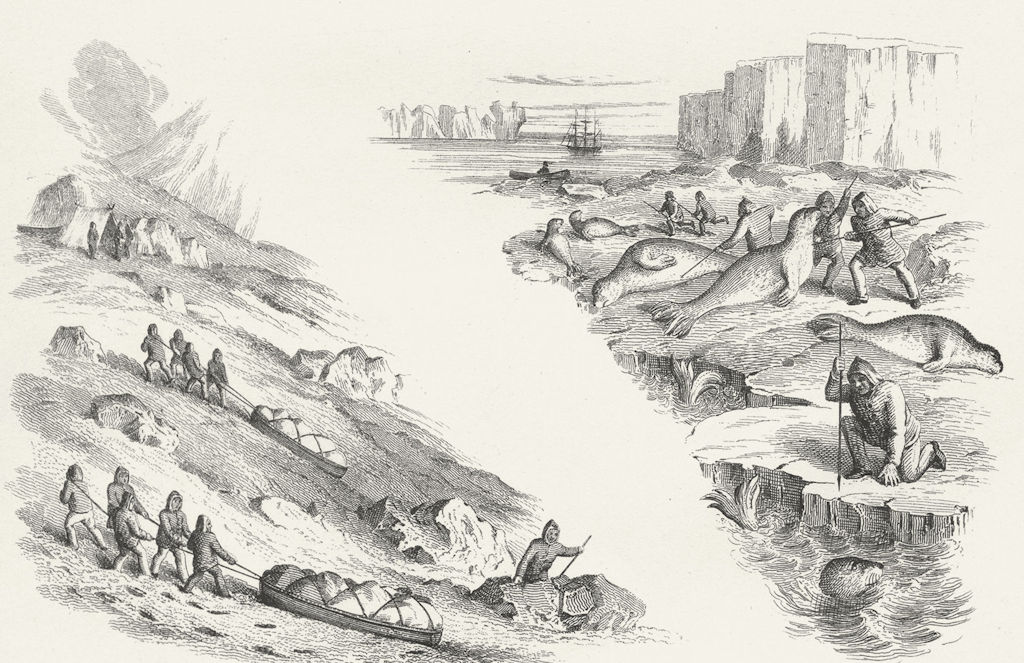 ARCTIC. Sledge Travel(Osborne's Journal); Seal hunt c1849 old antique print