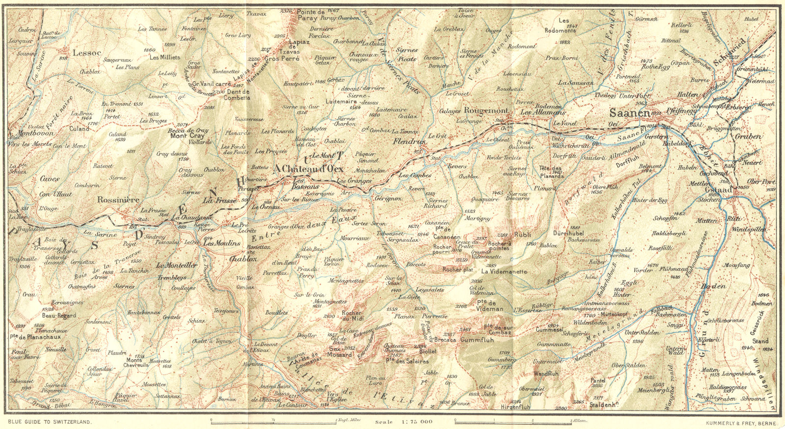 SWITZERLAND. Chateau d'cex-Saanen 1923 old antique vintage map plan chart