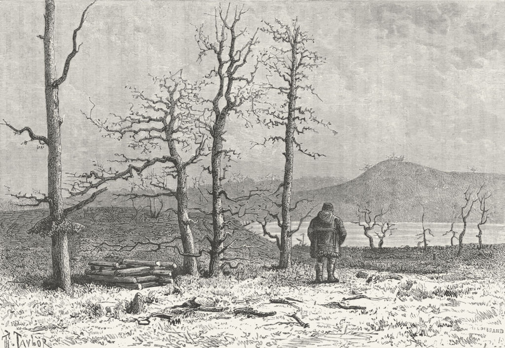 SIBERIA. Larch Forest, Boganida, Tributary Katanga c1885 old antique print