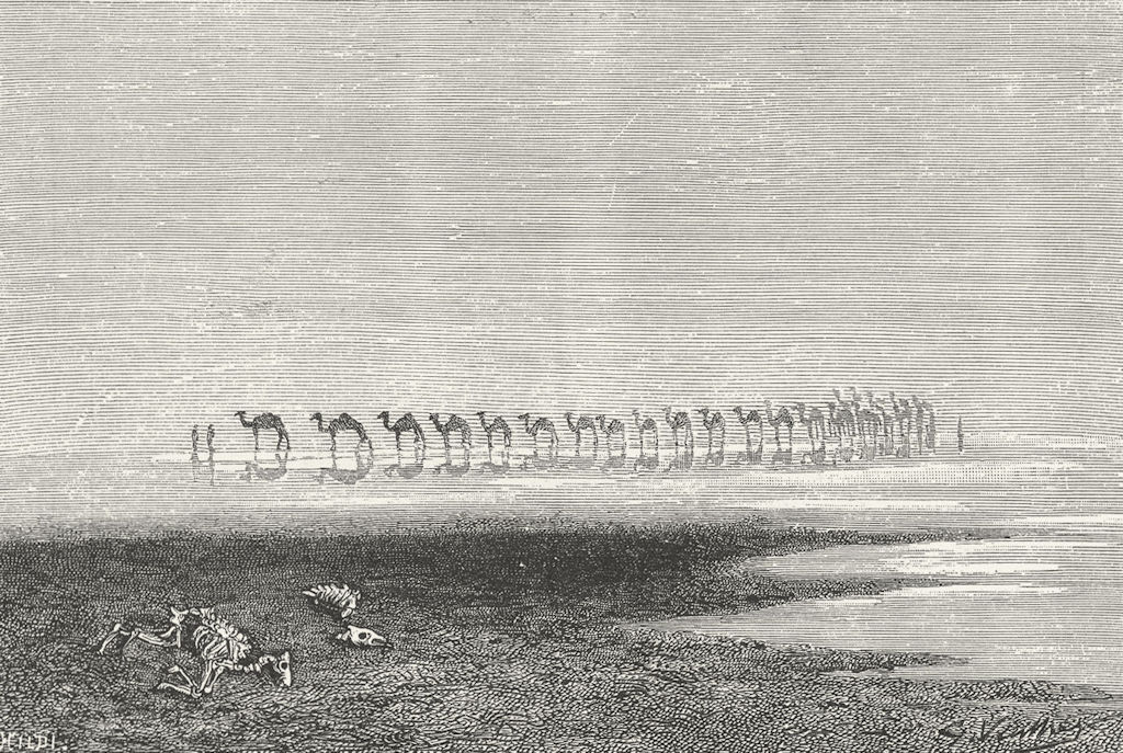 PAKISTAN. Camels crossing Rann of catch c1885 old antique print picture
