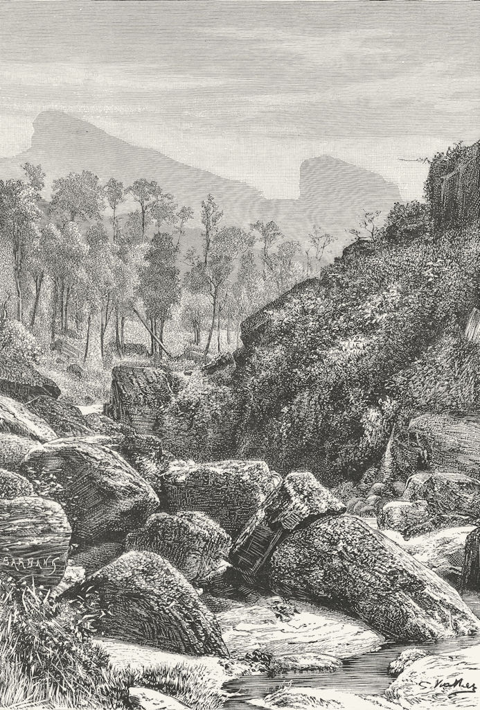SRI LANKA. Landscape-Ramboda Plantation c1885 old antique print picture