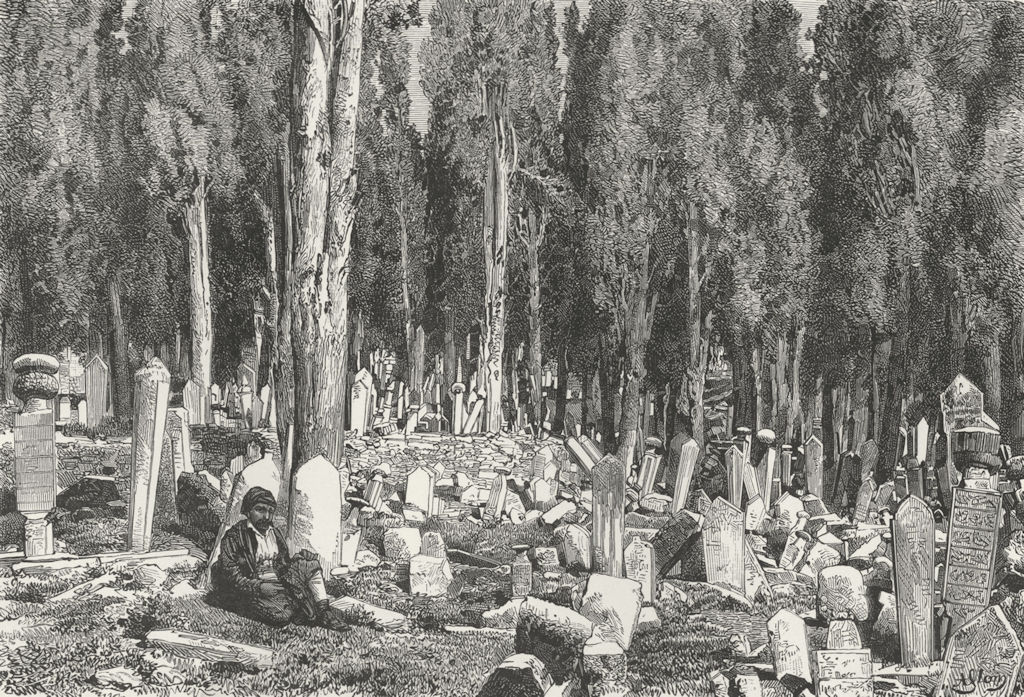 TURKEY. Cypresses, Cemetery of Uskudar c1885 old antique vintage print picture