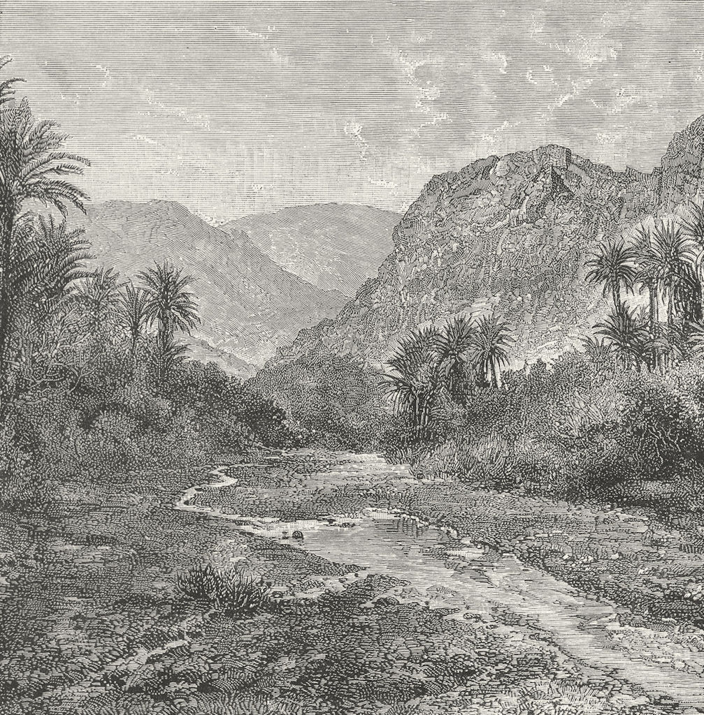 SINAI. Landscape, Peninsular-view at Raphidim c1885 old antique print picture