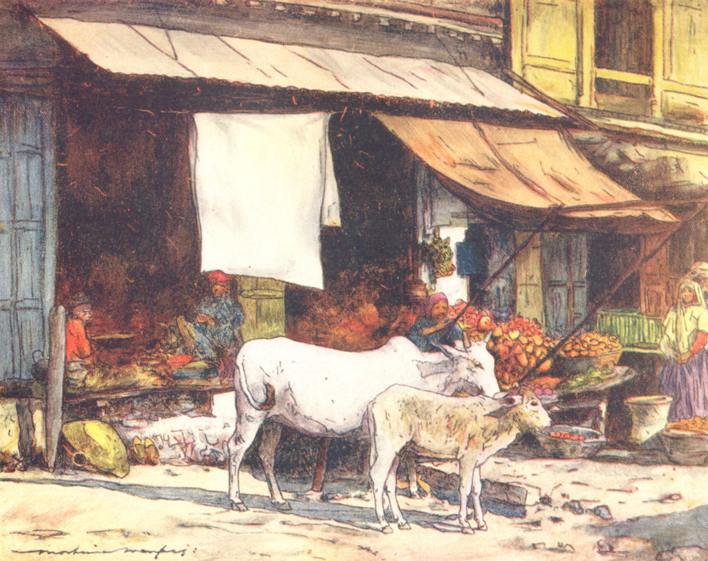 INDIA. A fruit market, Delhi 1905 old antique vintage print picture