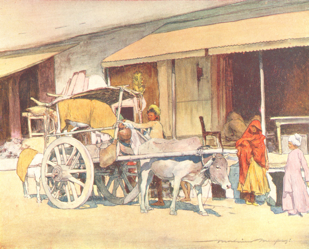INDIA. A bull-cart, Ajmer 1905 old antique vintage print picture