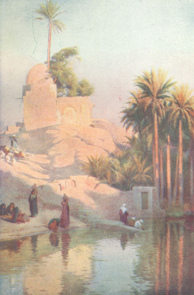 EGYPT. In the Oasis of Fayum 1912 old antique vintage print picture