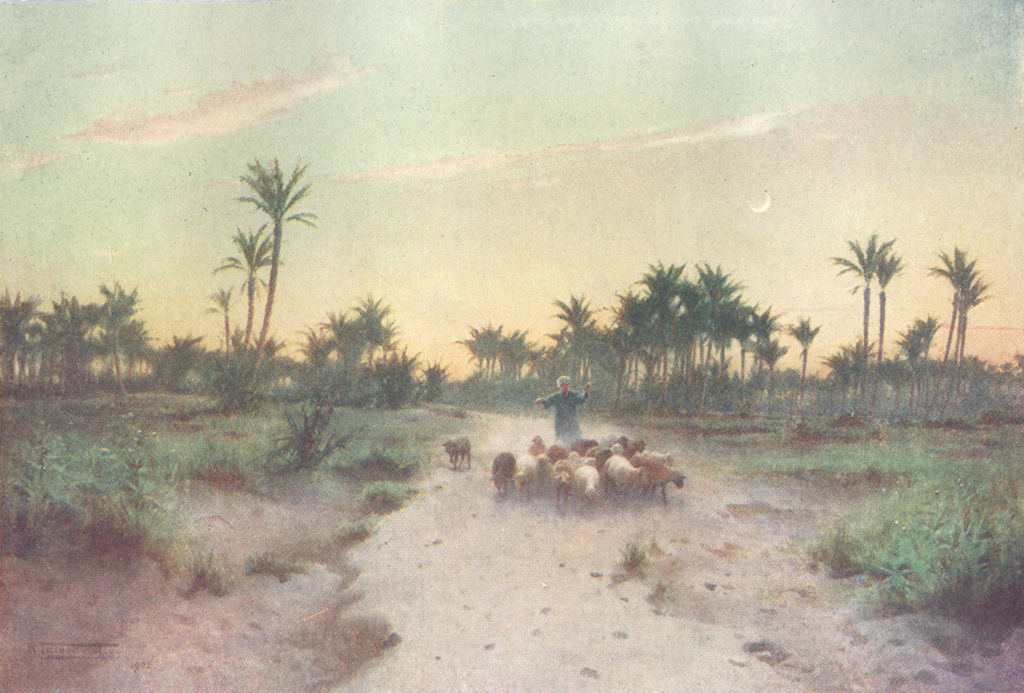 EGYPT. Land of Goshen-Evening 1912 old antique vintage print picture