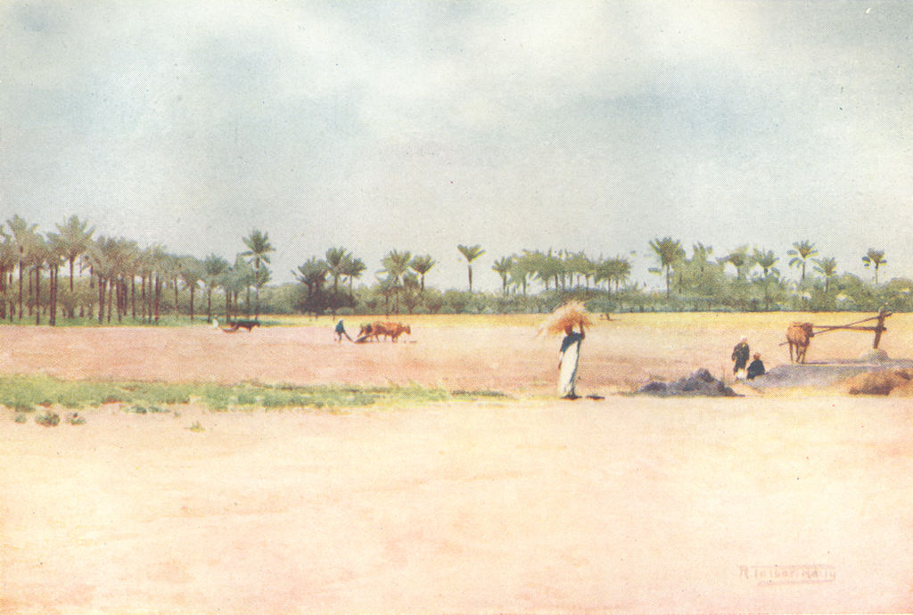 EGYPT. Esbet-el-Ekiad - Land of Goshen 1912 old antique vintage print picture