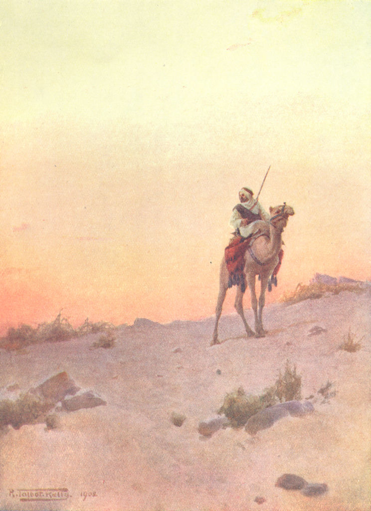 EGYPT. A Desert Scout; camel 1912 old antique vintage print picture