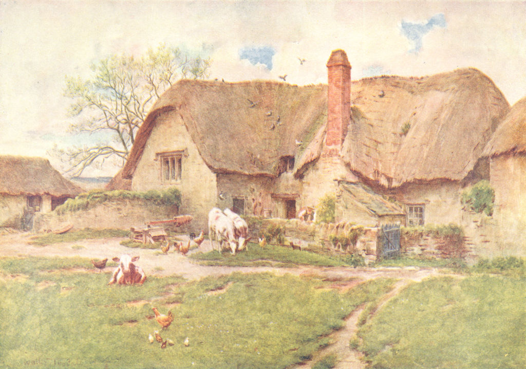 FARMING. A Wessex Dairy Farm 1906 old antique vintage print picture