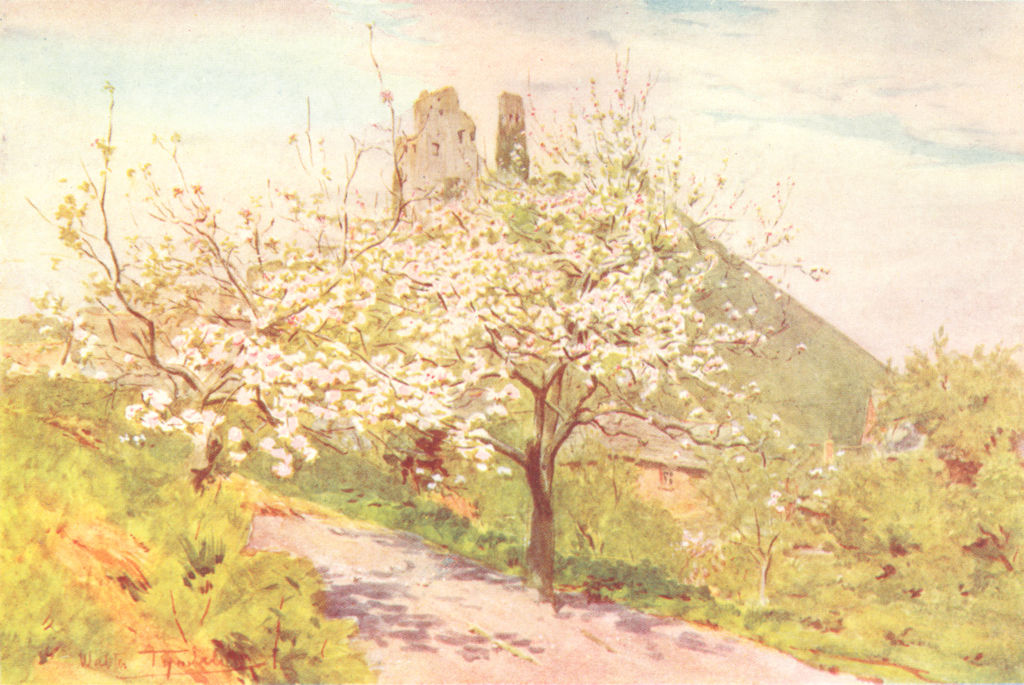 LANDSCAPES. Spring in Wessex 1906 old antique vintage print picture