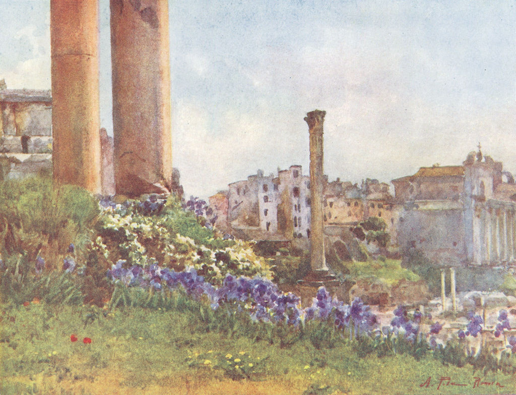 ROME. A Forum base of Temple Saturn 1905 old antique vintage print picture