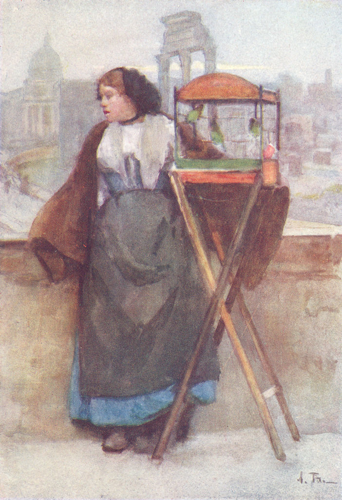 Associate Product ROME. Girl selling birds, Via Del Campidoglio 1905 old antique print picture