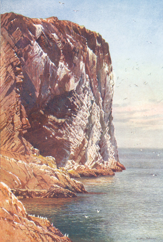 BASS ROCK. Firth of Forth, Haddingtonshire 1904 old antique print picture