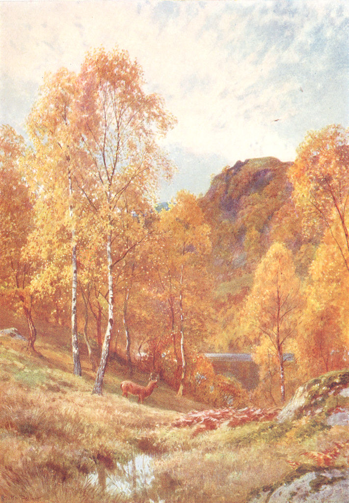 SCOTLAND. Golden Autumn, Trossachs, Perthshire 1904 antique print picture