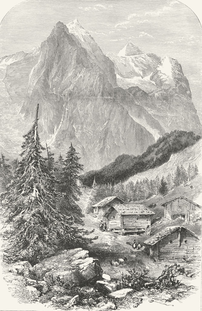 SWITZERLAND. Wellhorn & Wetterhorn 1891 old antique vintage print picture