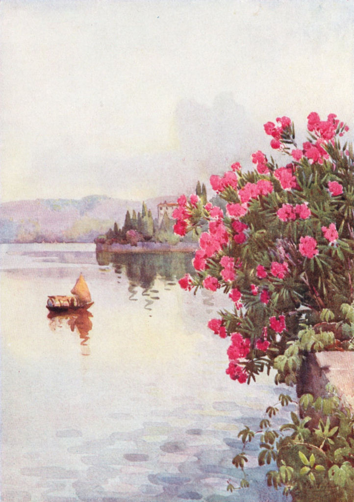 ITALY. Italian Lakes. Oleanders, Ella du Cane 1905 old antique print picture
