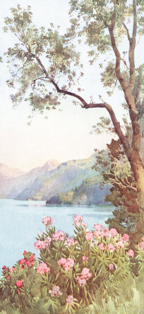 ITALY. Lake Como. Lago di Lecco, Lago di Como 1905 old antique print picture