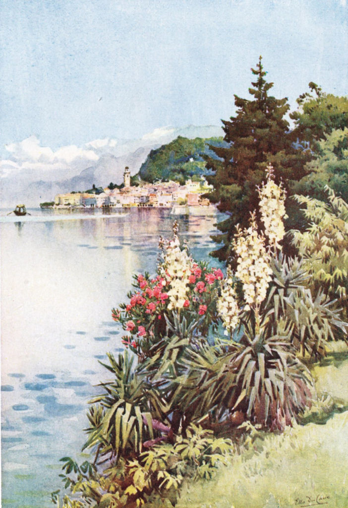 Associate Product ITALY. Lake. Lago di Como. Yuccas, Villa Melzi 1905 old antique print picture