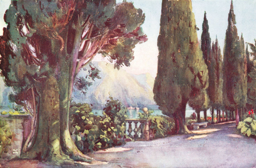 Associate Product ITALY. Lago di Como. Cypress Avenue, Villa del Pizzo 1905 old antique print