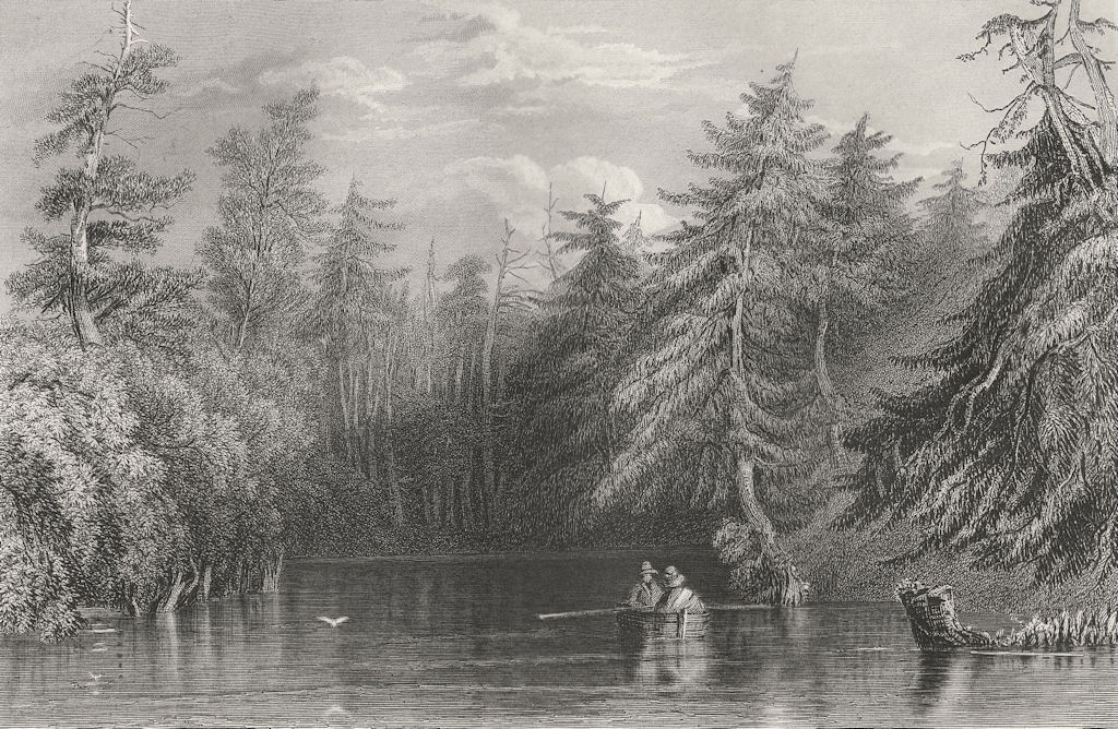 Barhydt's Lake (near Saratoga), New York. WH BARTLETT 1840 old antique print