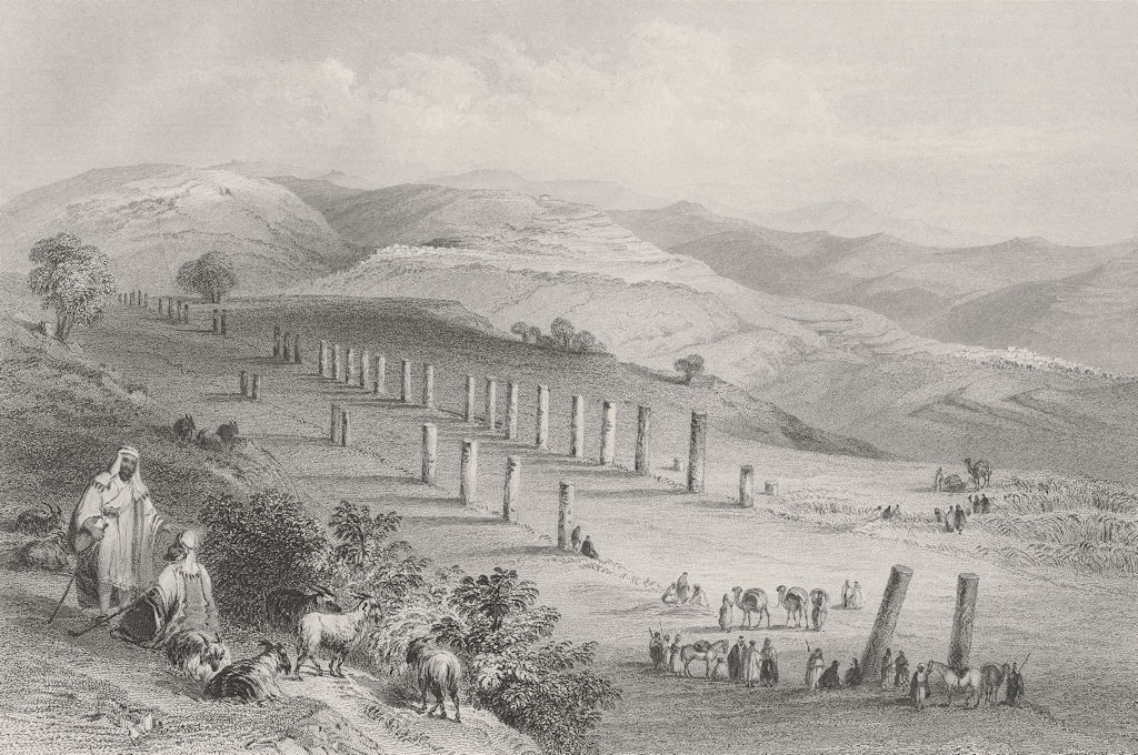 ISRAEL. Colonnade, Sebaste, Samaria-Bartlett 1847 old antique print picture