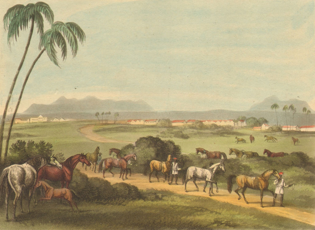 CHHATARPUR. East India Company's Stud, Chatterpore. Evans.  (Orme)  1814 print