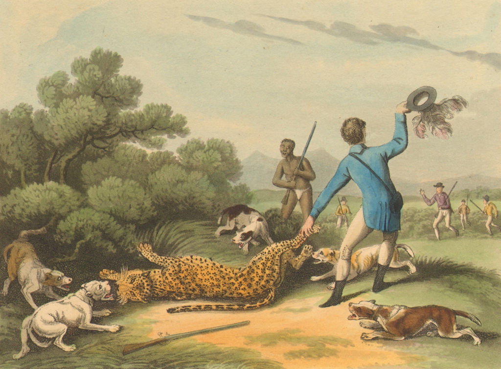Associate Product SOUTH AFRICA. Hunting a Panther at Saldanha. Dogs.  (Edward Orme)  1814 print