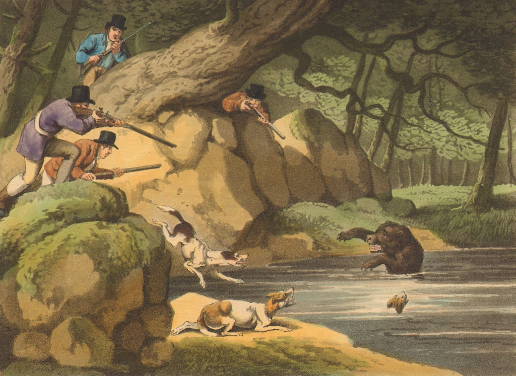 Associate Product UNITED STATES CANADA. North American Bear Hunt. Dogs Guns (Edward Orme)  1814