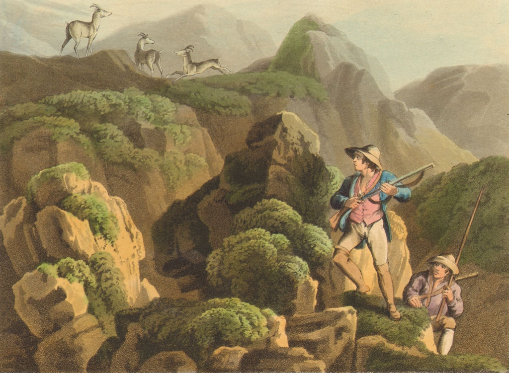 Associate Product AUSTRIA. Chamois shooting in the Tyrol.  (Field Sports- Edward Orme)  1814