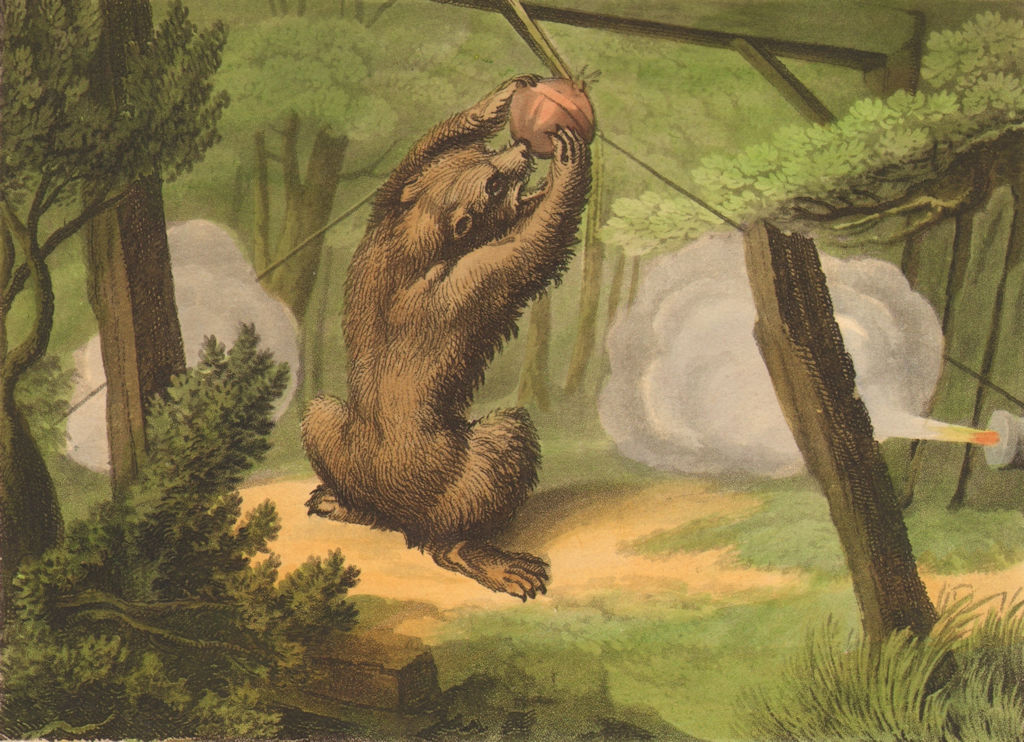 Associate Product GERMANY. Honey trap shoot Bear. Basket triggers blunderbusses (Orme)  1814