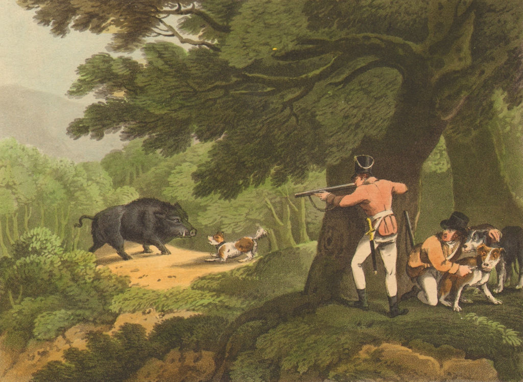 Associate Product GERMANY. Wild Boar shooting. Soldier hunting. Dogs. Rifle (Orme)  1814 print