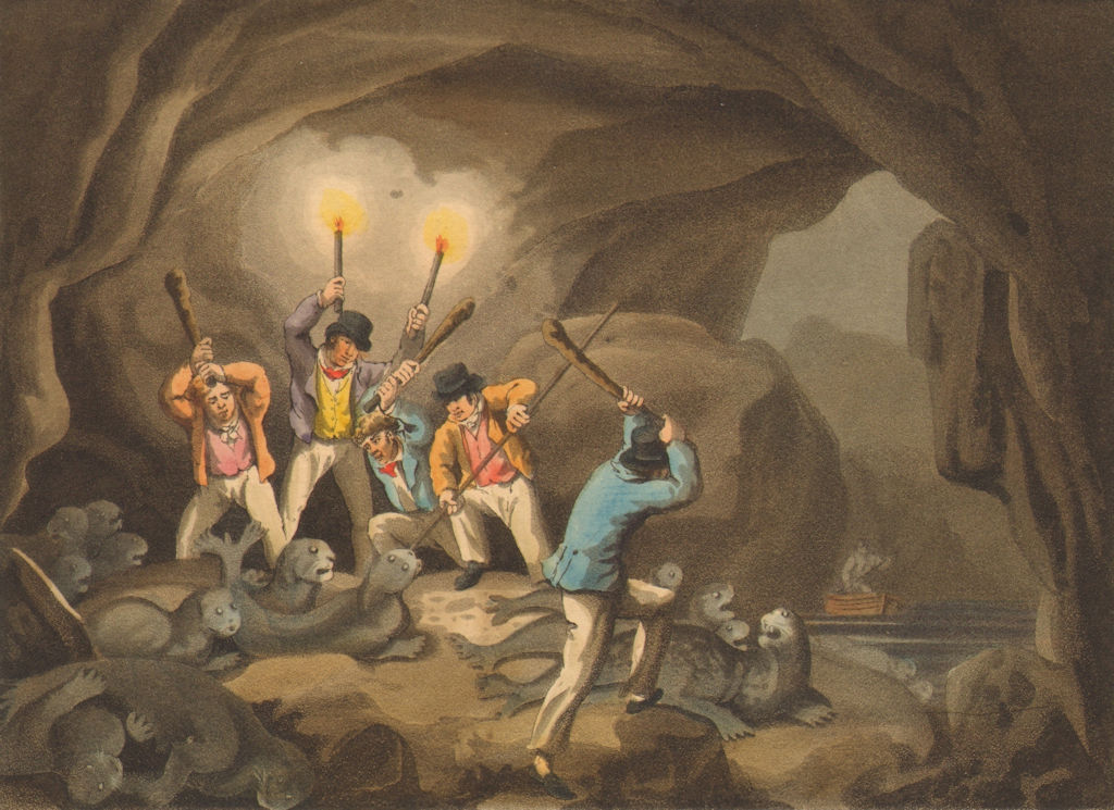 ARCTIC. Killing Seals cave by Moonlight. Torches clubs.  (Edward Orme)  1814