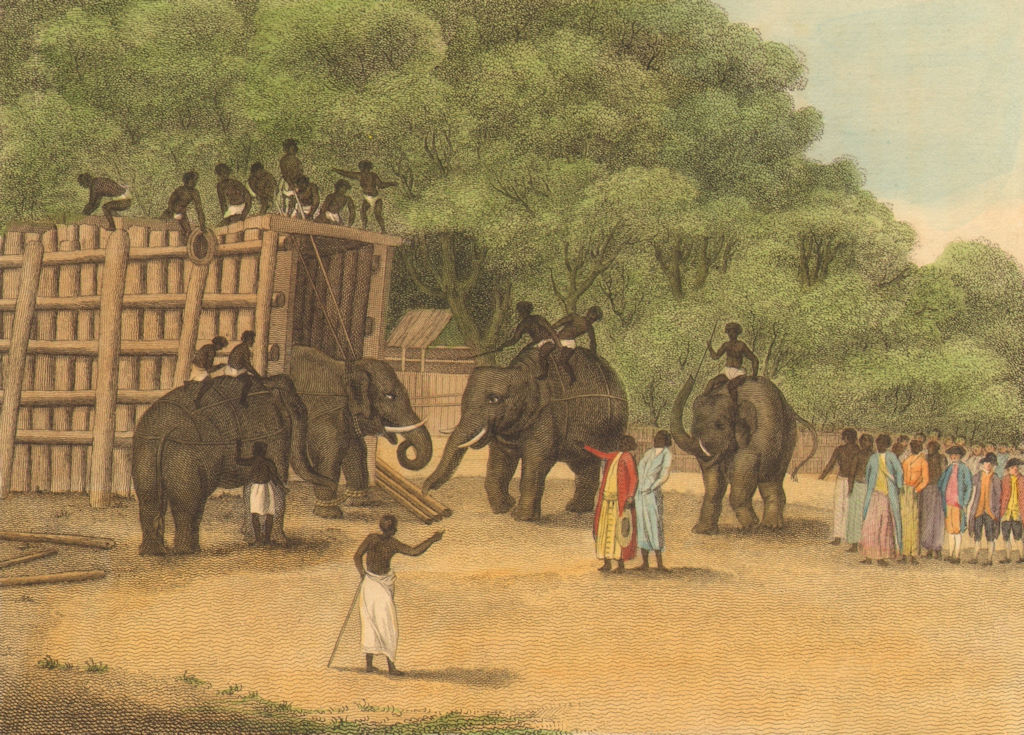 Associate Product INDIA. Hindu Elephant Trap. Keddah. Ropes (Field Sports- Edward Orme)  1814
