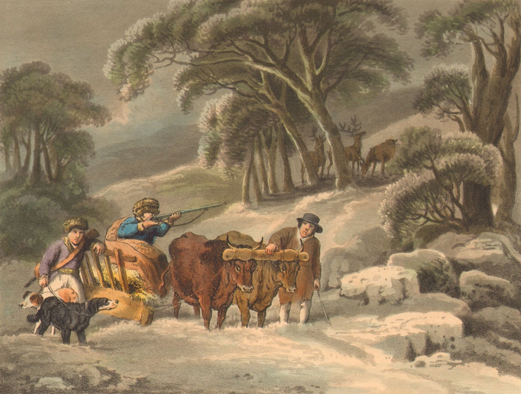 Associate Product GERMANY. Deer- shooting in Winter. Sledge rifle oxen (Edward Orme)  1814 print