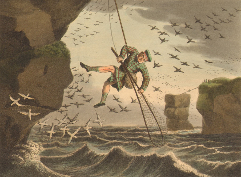 Associate Product SCOTLAND. Bird- catching from above. Net. Rope (Edward Orme)  1814 old print