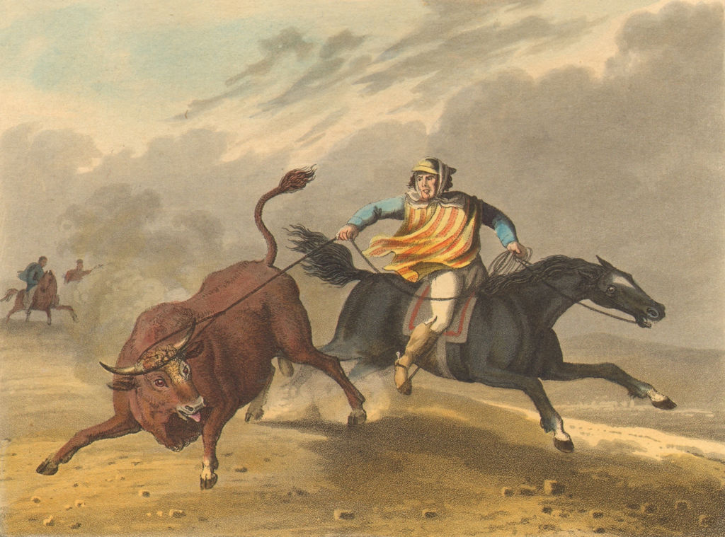 Associate Product S AMERICA. Pion gaucho cowboy catching wild bull. Horse.  (Edward Orme)  1814
